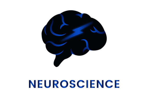 Brain Neuroscience Logo Design Graphics