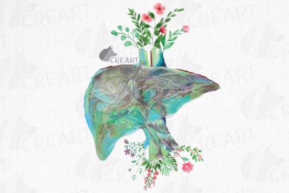 Floral Anatomical Human Liver Decor Art Graphics