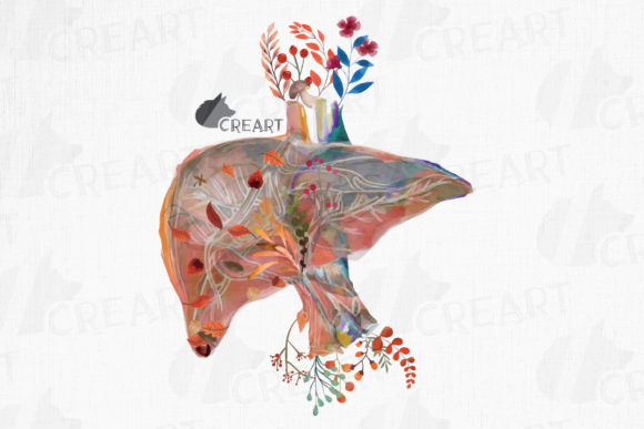 Human Anatomy Floral Liver Autumn Decor Graphics